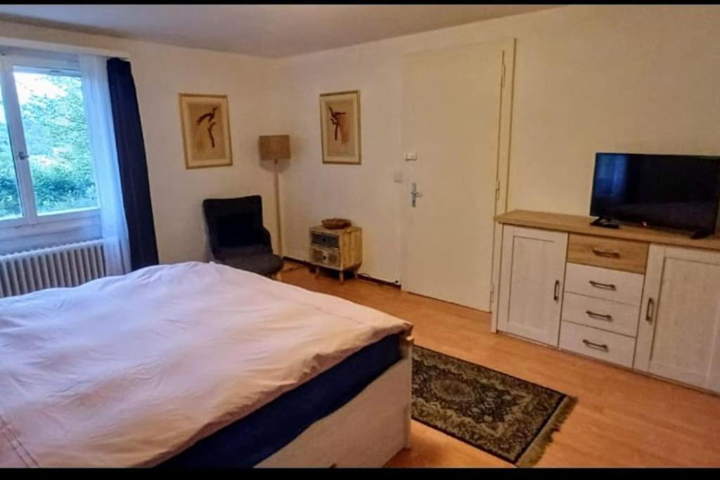 Espace Sauna, Jacuzzi, Terrasse * Ginevra